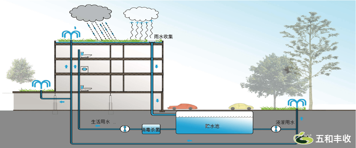 雨水收集利用正文