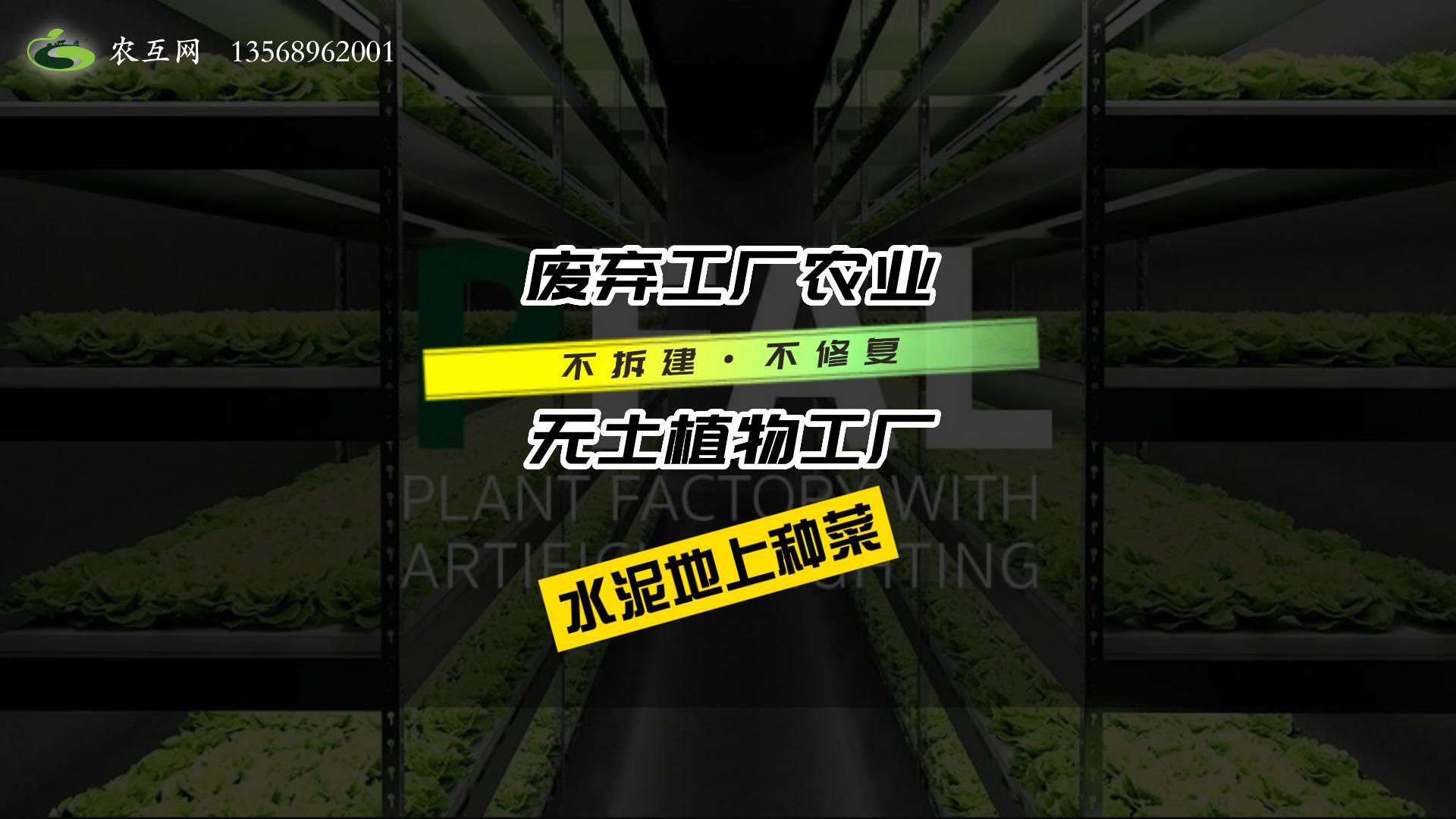 废弃工厂无土农业(1)-封面.jpg